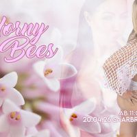 SG Parties - Horny Bees am 20.04 in Saarbrücken